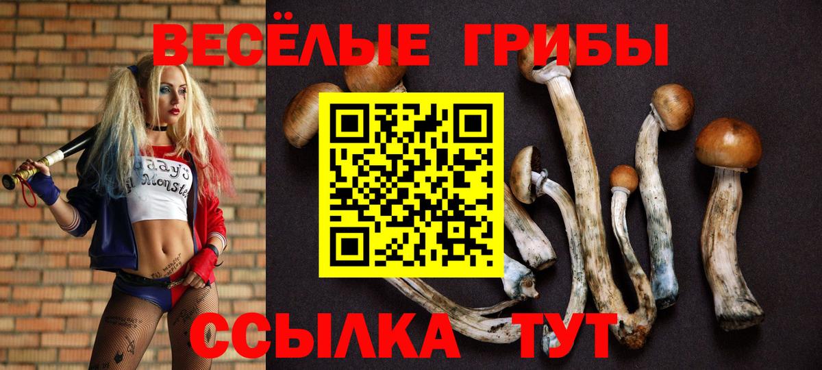 Отрадное  Галлюциногенные грибы GOLDEN TEACHER  купить закладку  Вход с VPN 