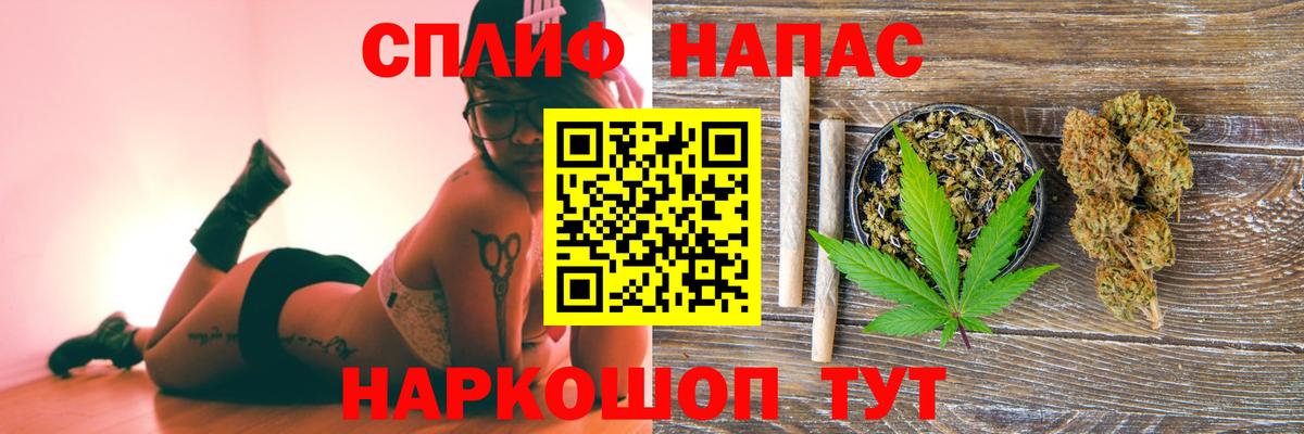 Конопля гибрид Отрадное